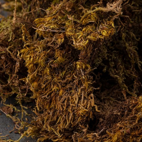 Deco Moss by Ashland®